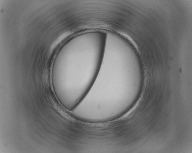 X0000075861114200610061930