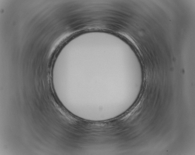 X0000075861115200610061930