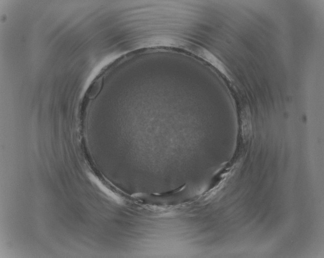 X0000075861116200610061930