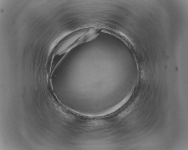 X0000075861117200610061930