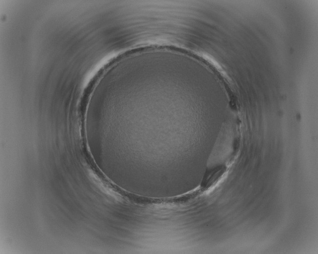 X0000075861118200610061930