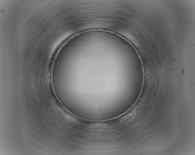 X0000075861119200610061930