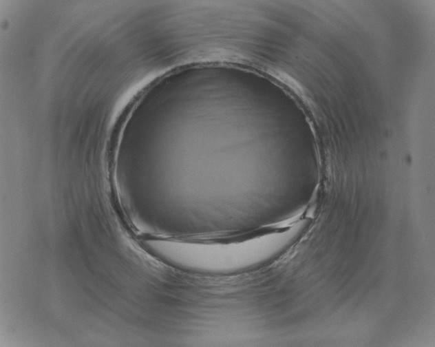 X0000075861120200610061930