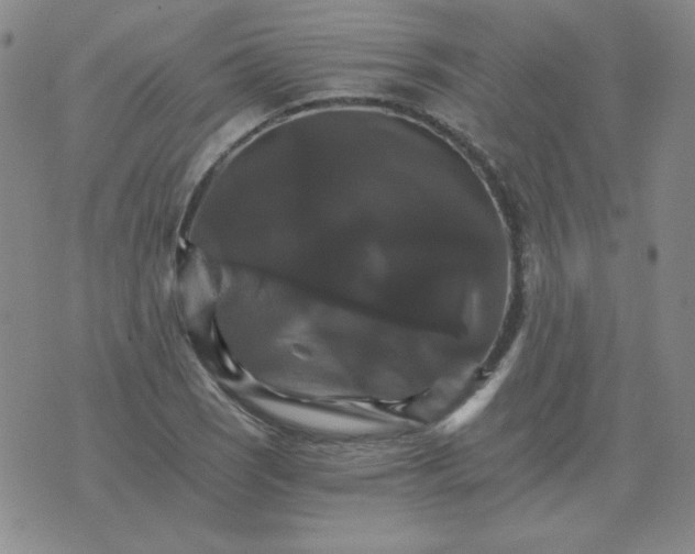 X0000075861121200610061930