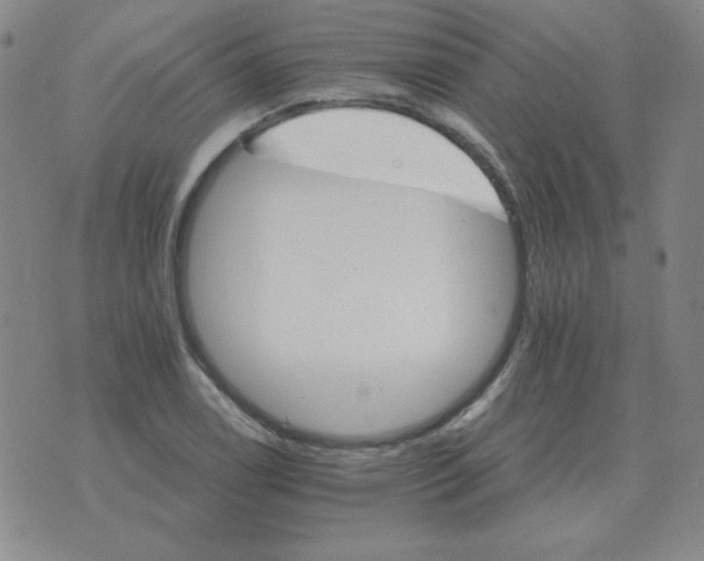 X0000075861122200610061930