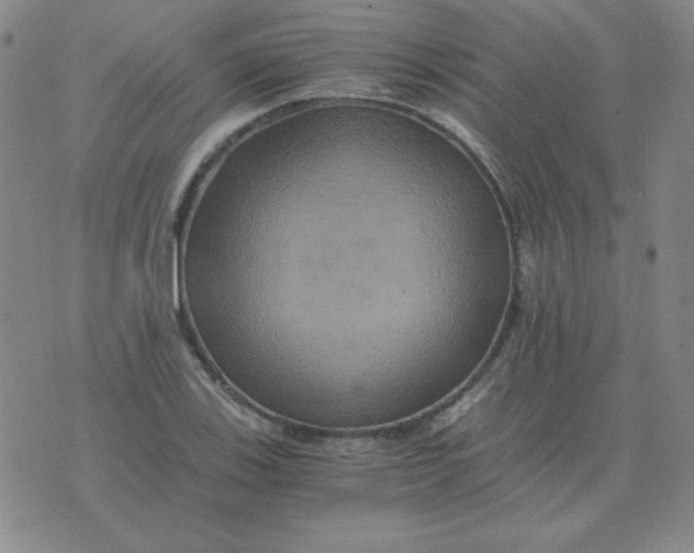 X0000075861123200610061930