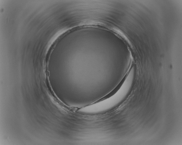 X0000075861124200610061930