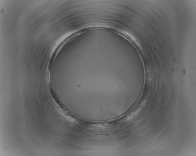 X0000075861125200610061930