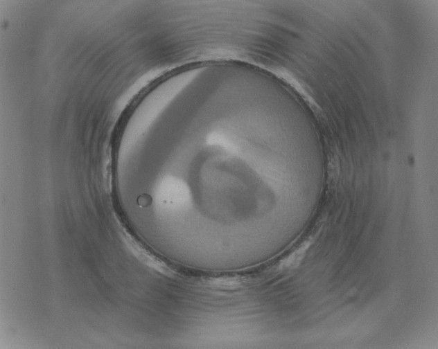 X0000075861126200610061930