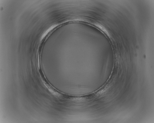 X0000075861127200610061930