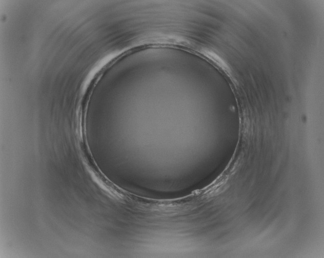 X0000075861128200610061930