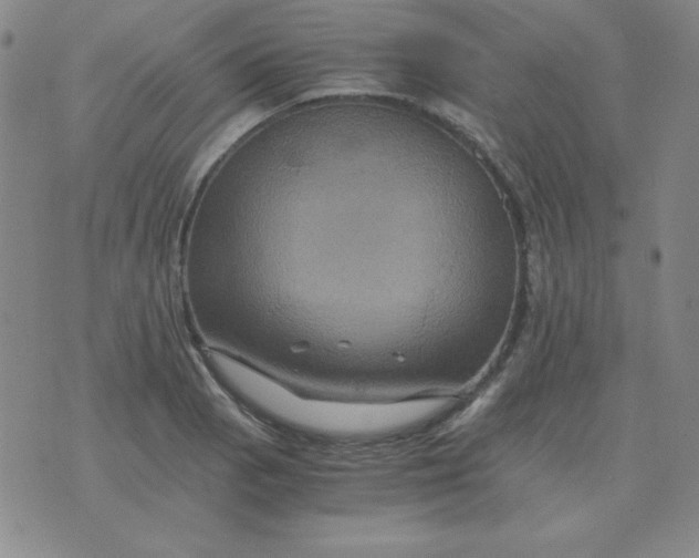 X0000075861129200610061930