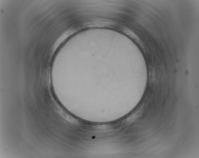 X0000075861130200610061930