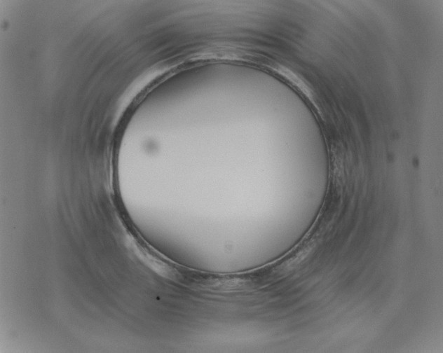 X0000075861131200610061930