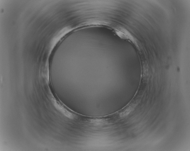 X0000075861132200610061930