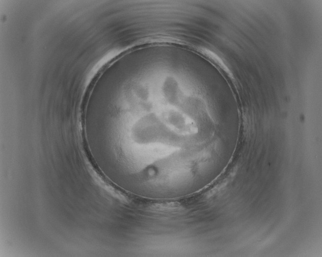 X0000075861133200610061930