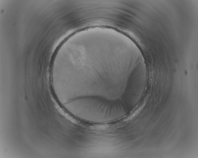 X0000075861134200610061930