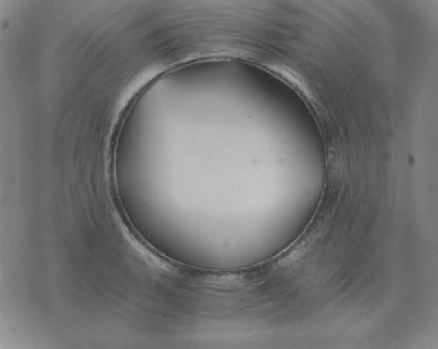 X0000075861135200610061930