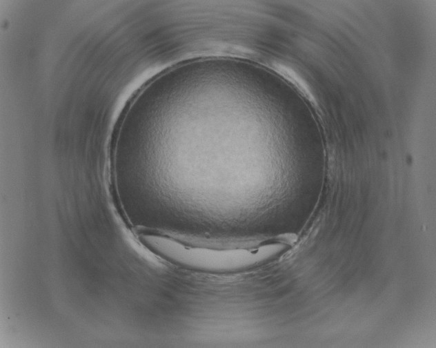 X0000075861136200610061930