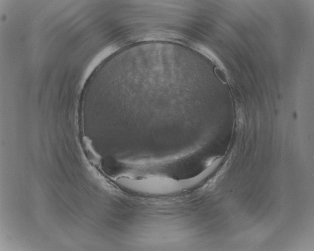 X0000075861138200610061931