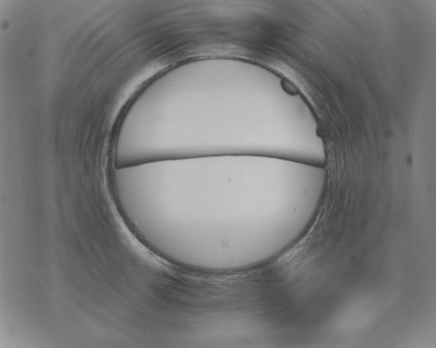 X0000075861139200610061931