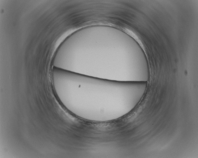 X0000075861141200610061931