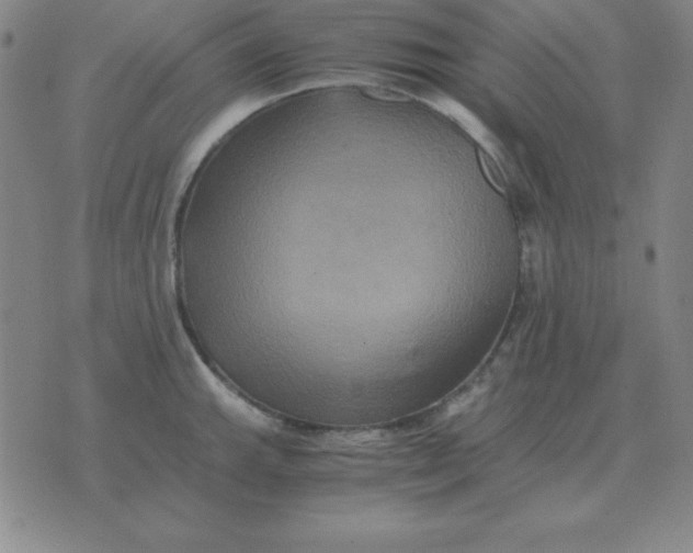 X0000075861143200610061931