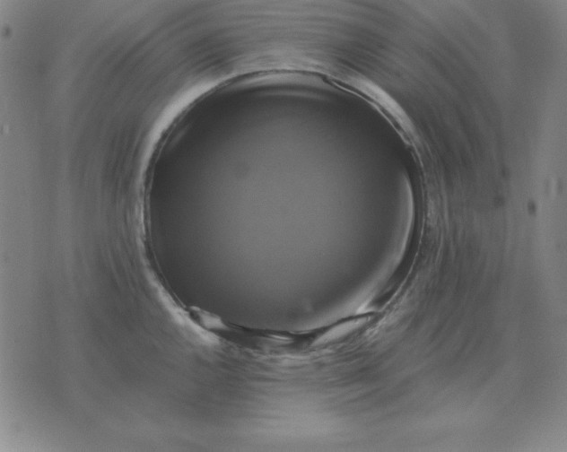 X0000075861144200610061931