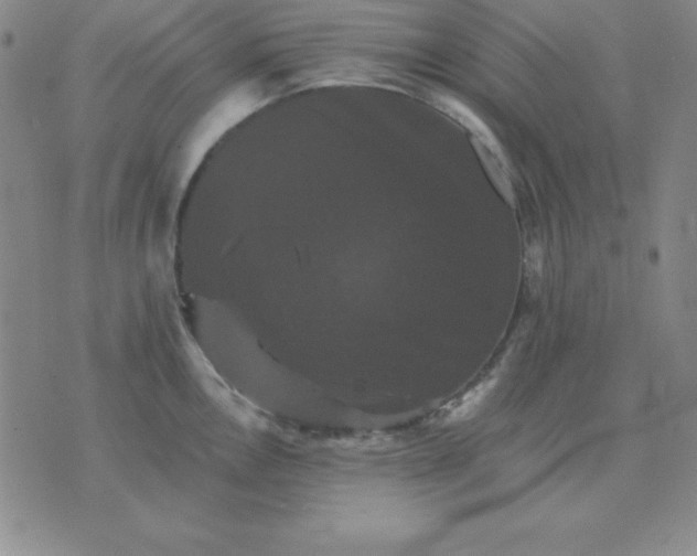 X0000075861146200610061931