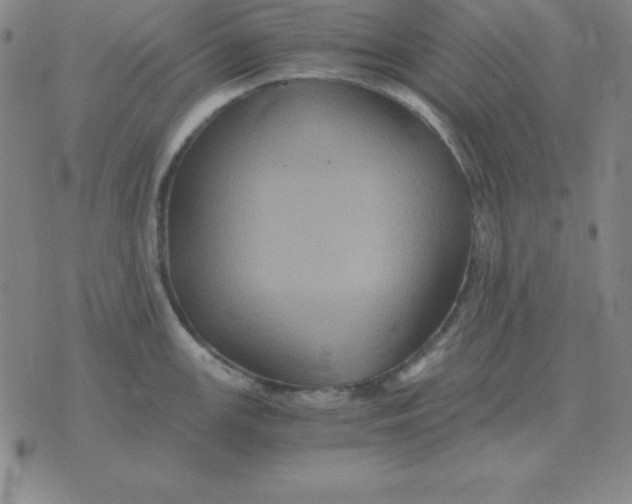 X0000075861147200610061931