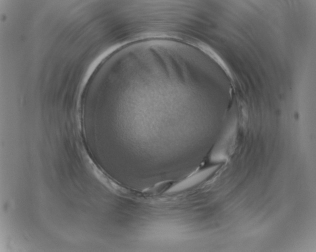 X0000075861148200610061931