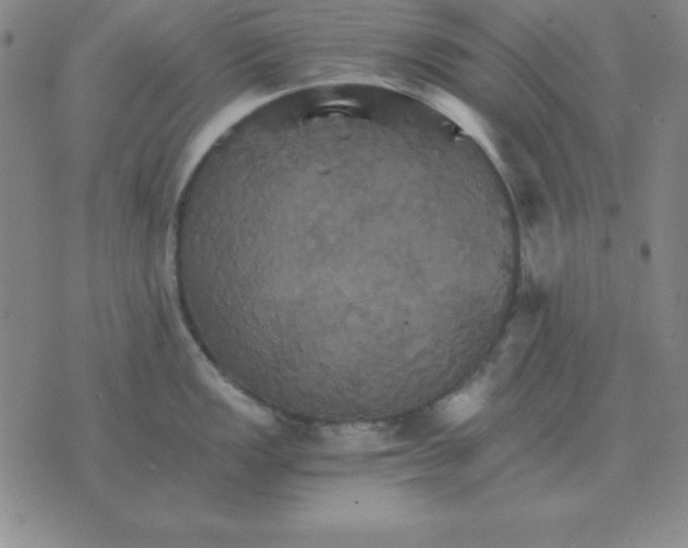 X0000075861149200610061931