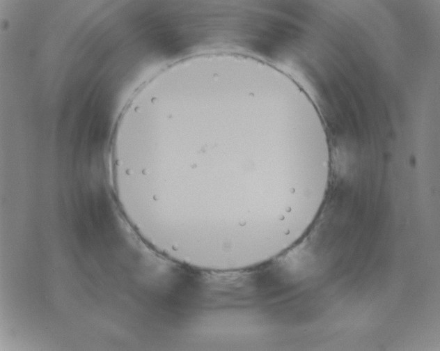 X0000075861150200610061931