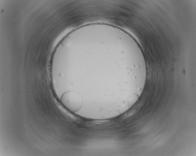 X0000075861151200610061931