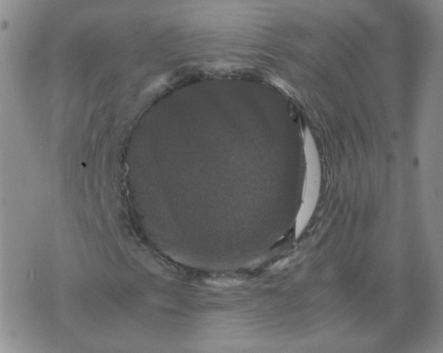 X0000075861153200610061930