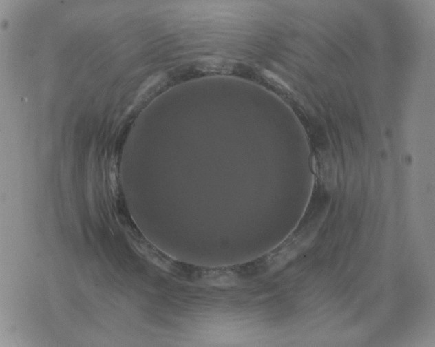 X0000075861154200610061930