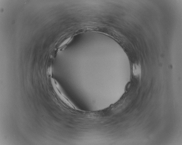 X0000075861155200610061930