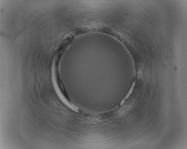 X0000075861156200610061930