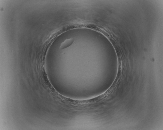 X0000075861157200610061930