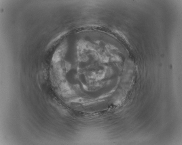 X0000075861159200610061930