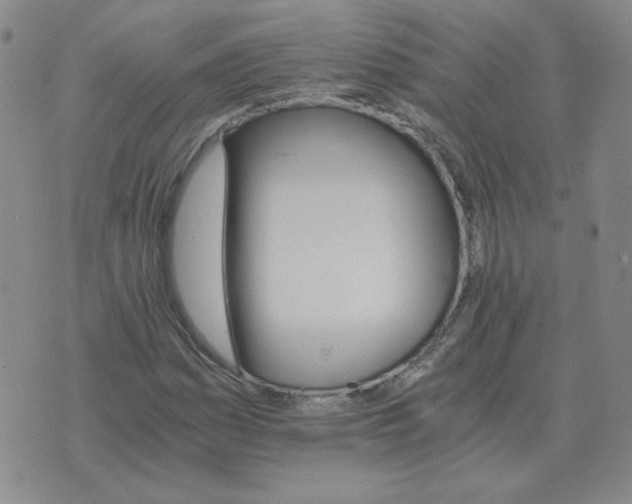 X0000075861161200610061930