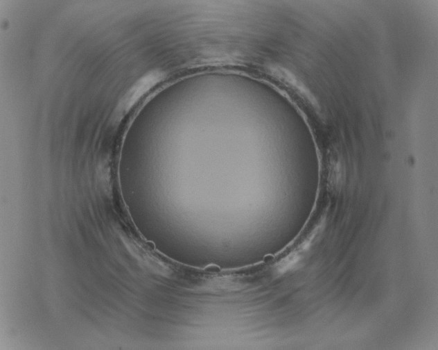 X0000075861162200610061930