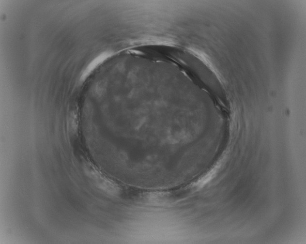 X0000075861163200610061930