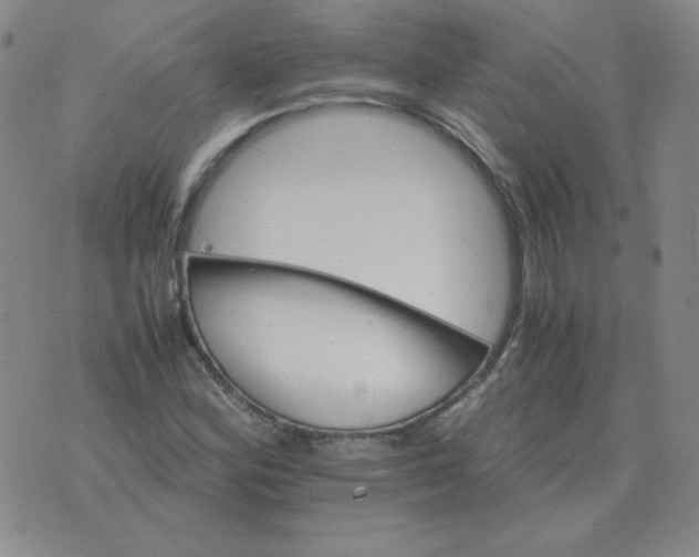 X0000075861164200610061930