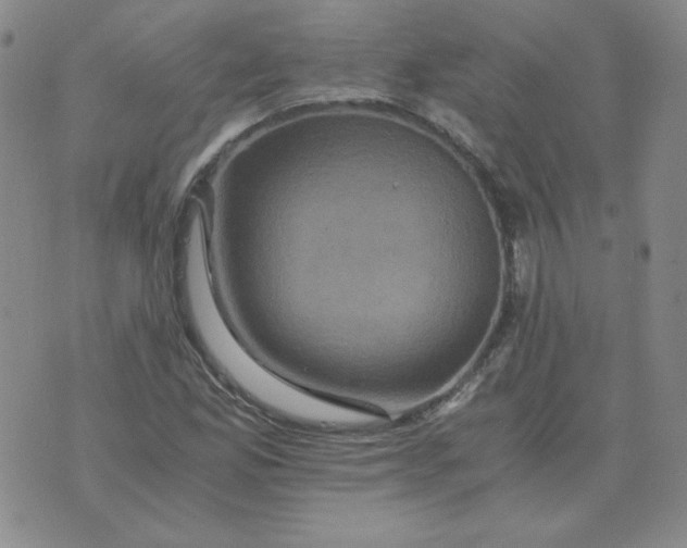 X0000075861165200610061930