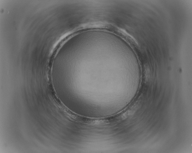 X0000075861166200610061930