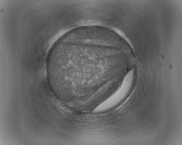 X0000075861167200610061930