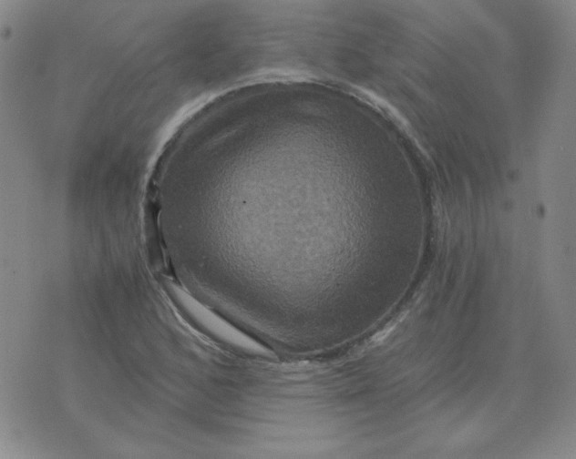 X0000075861168200610061930