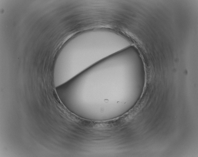 X0000075861169200610061930