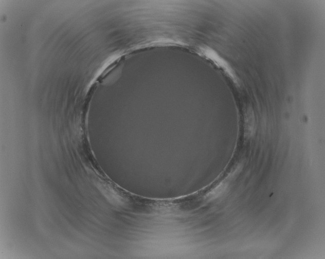 X0000075861170200610061930